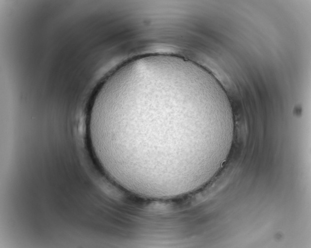 X0000102400350200808151948