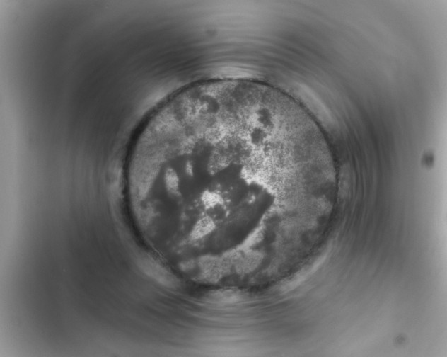 X0000102400351200808151948