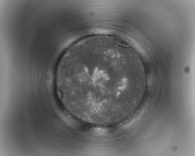 X0000102400352200808151948