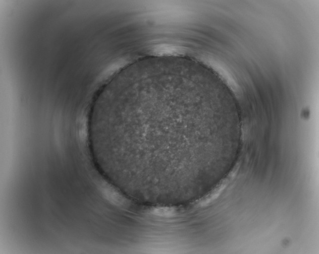 X0000102400353200808151948