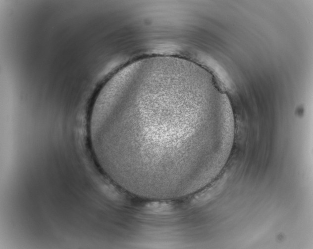 X0000102400354200808151948