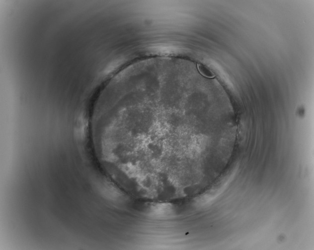 X0000102400355200808151948