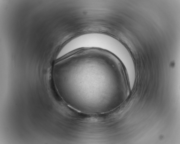 X0000102400356200808151948