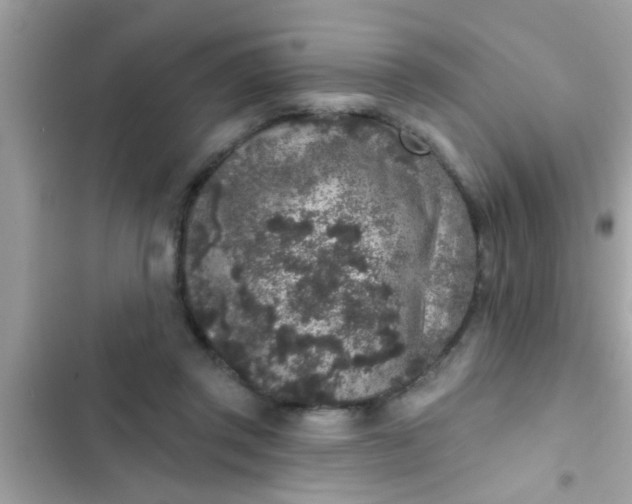 X0000102400357200808151948