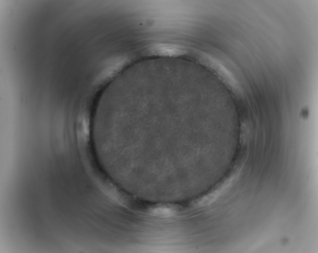 X0000102400358200808151948