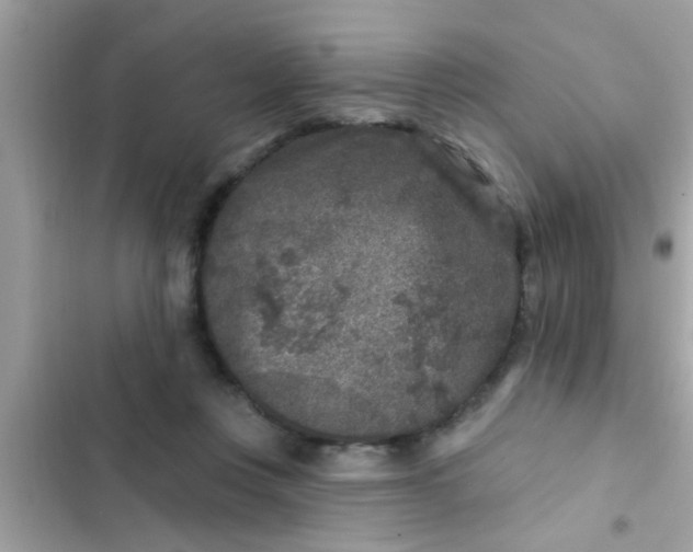 X0000102400359200808151948