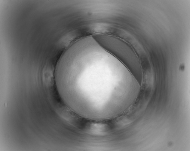 X0000102400360200808151948