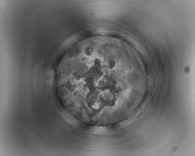 X0000102400361200808151948