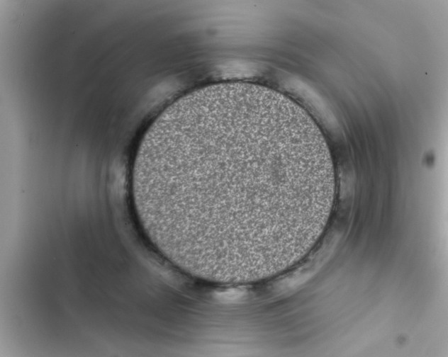 X0000102400362200808151948