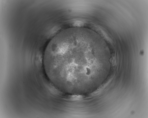 X0000102400363200808151948