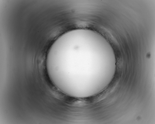 X0000102400364200808151948