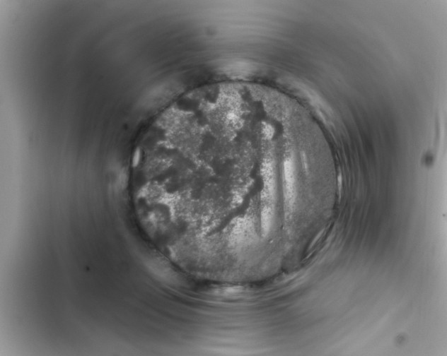 X0000102400365200808151948