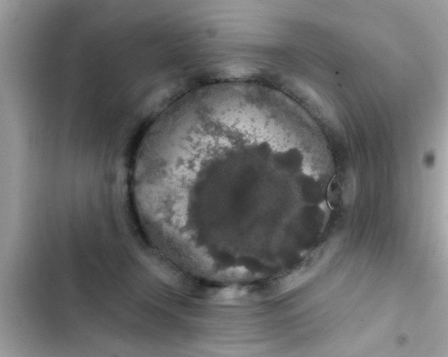 X0000102400366200808151948