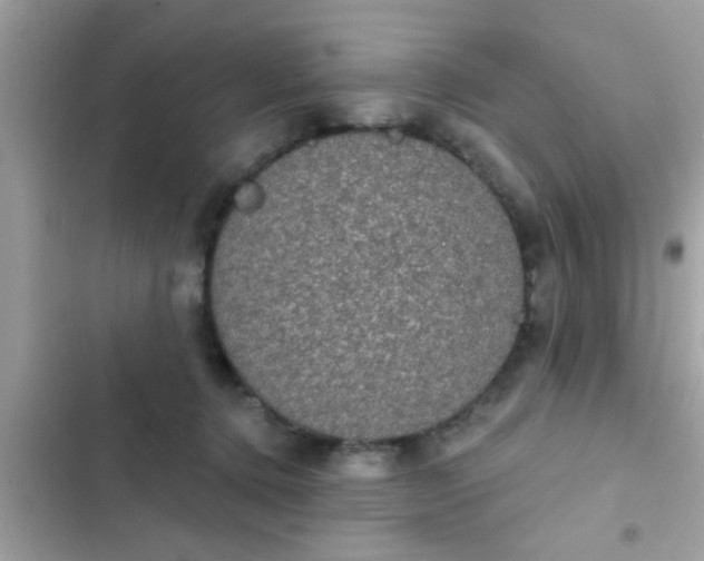 X0000102400368200808151948