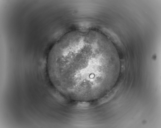 X0000102400369200808151948