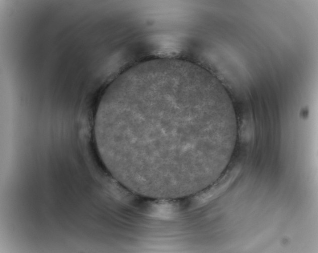 X0000102400370200808151948