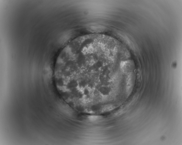 X0000102400371200808151948