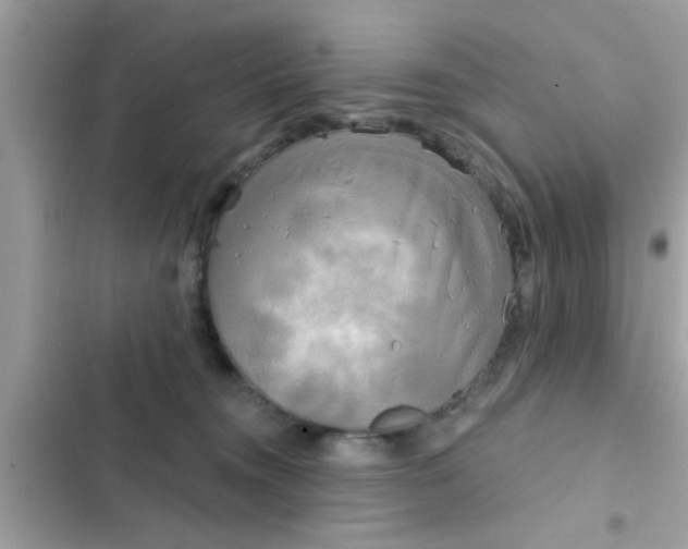 X0000102400372200808151948