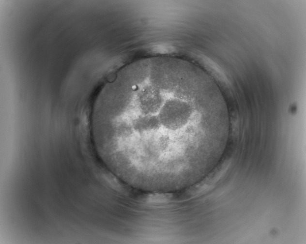 X0000102400373200808151948