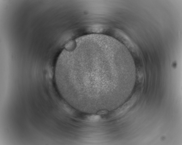 X0000102400374200808151948