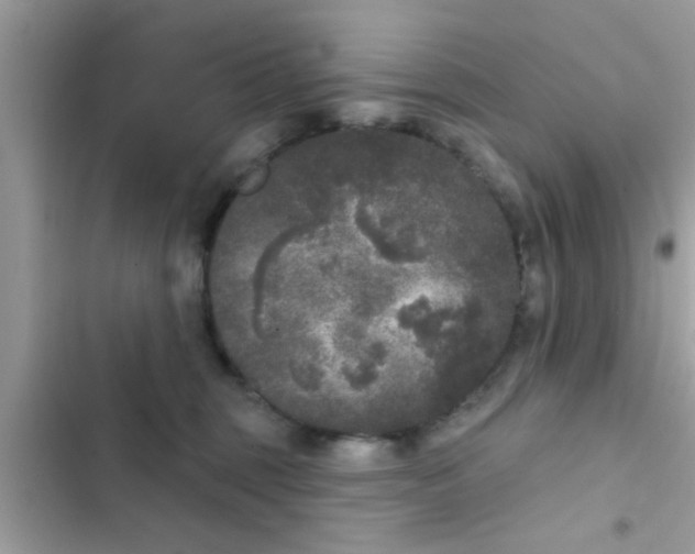 X0000102400375200808151948