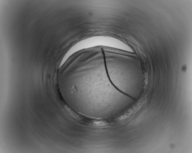 X0000102400376200808151948