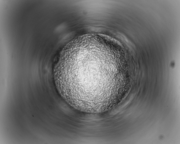 X0000102400377200808151948