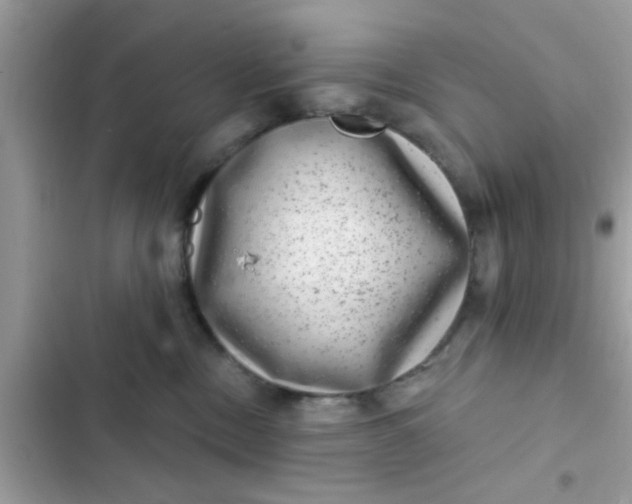 X0000102400378200808151948