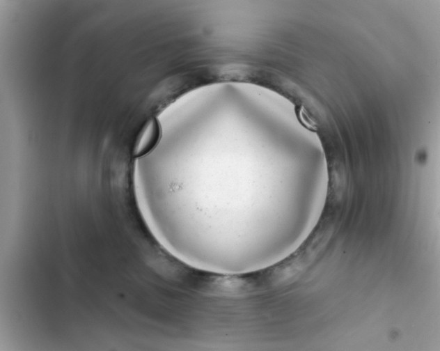 X0000102400379200808151948