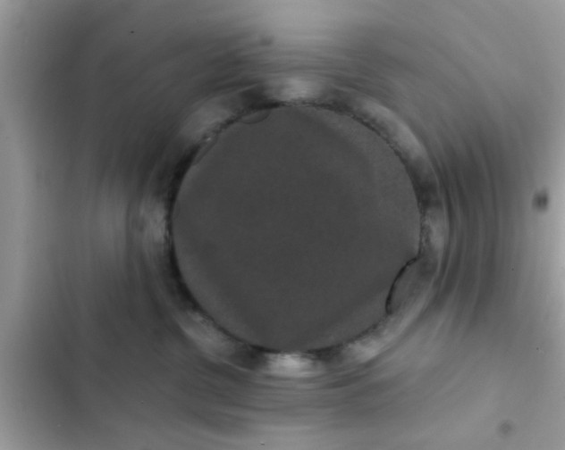 X0000102400380200808151948