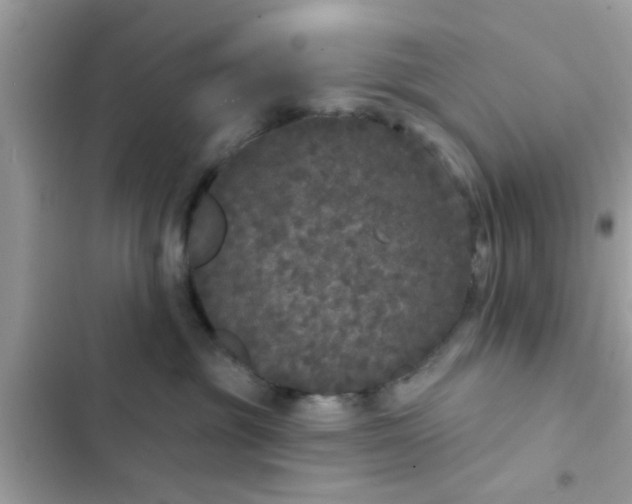 X0000102400381200808151948