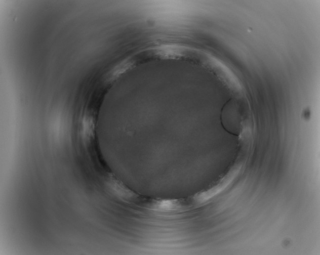 X0000102400382200808151948