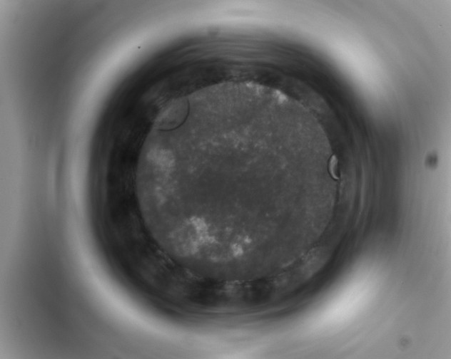 X0000102400383200808151948