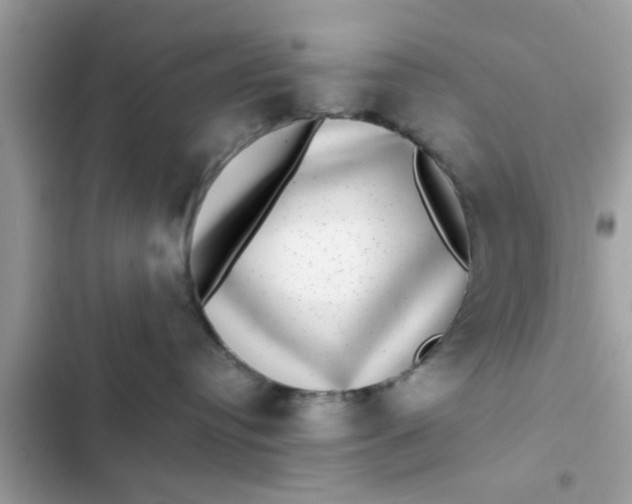 X0000102400384200808151948