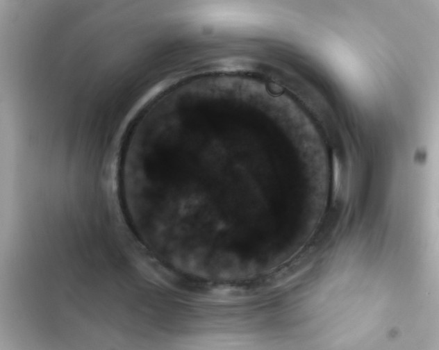 X0000102400387200808151948