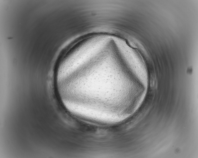 X0000102400388200808151948