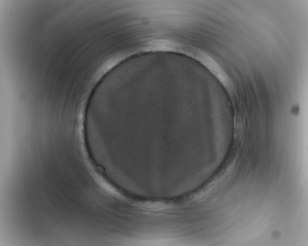 X0000102400389200808151948