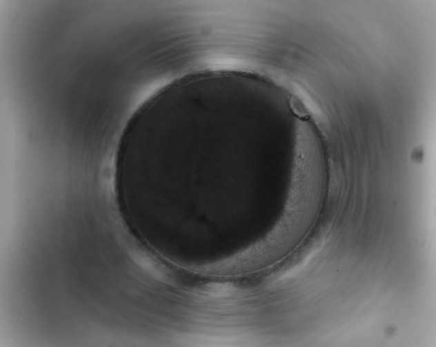 X0000102400391200808151948