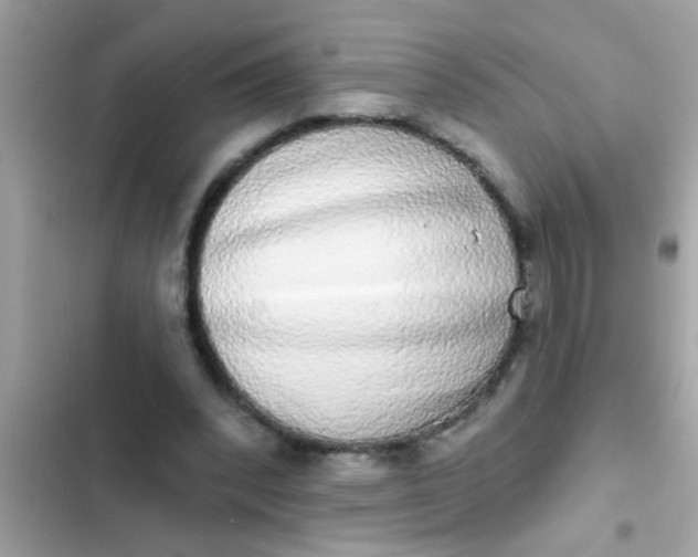 X0000102400392200808151948