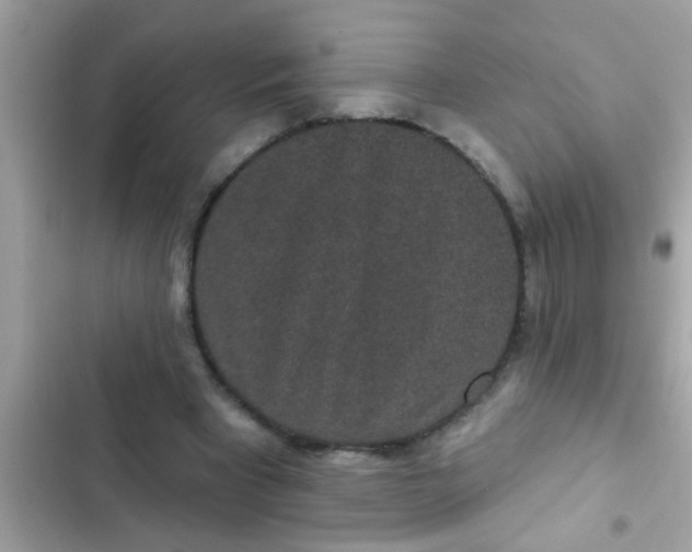 X0000102400393200808151948