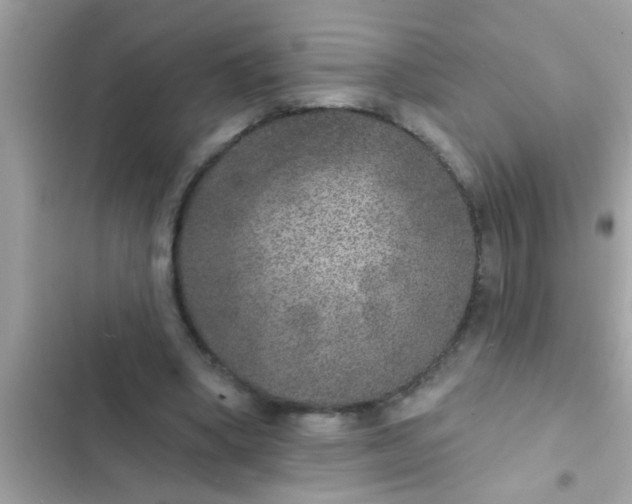 X0000102400394200808151948