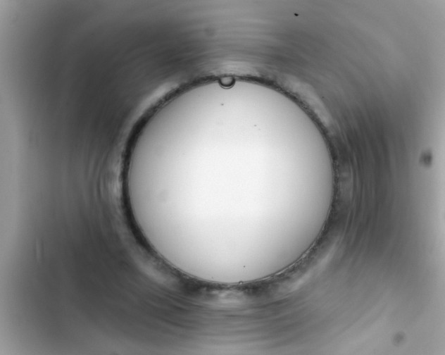 X0000102400395200808151948