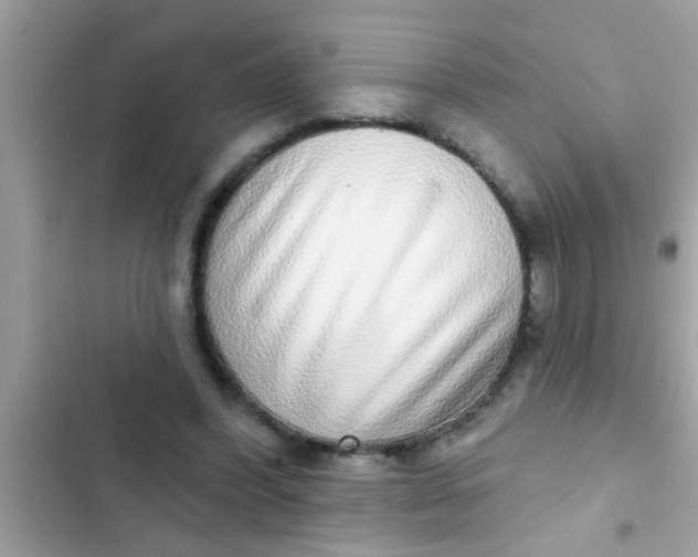 X0000102400396200808151948