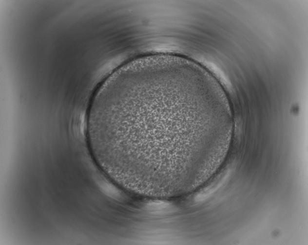 X0000102400397200808151948