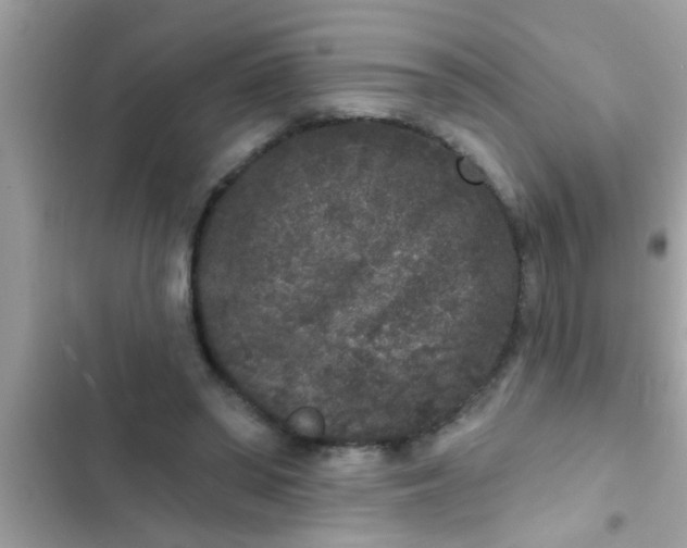 X0000102400398200808151948