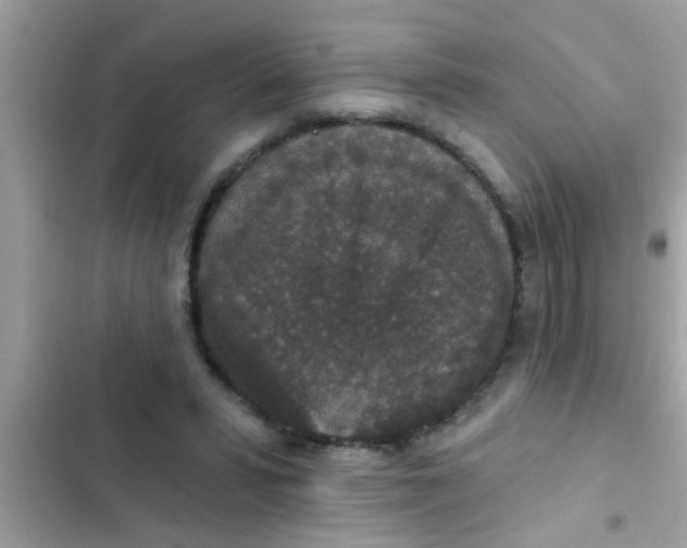 X0000102400399200808151948