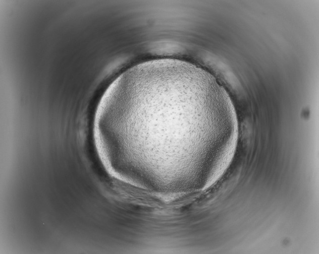 X0000102400400200808151948