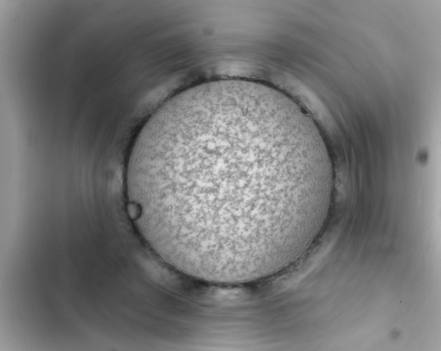 X0000102400401200808151948