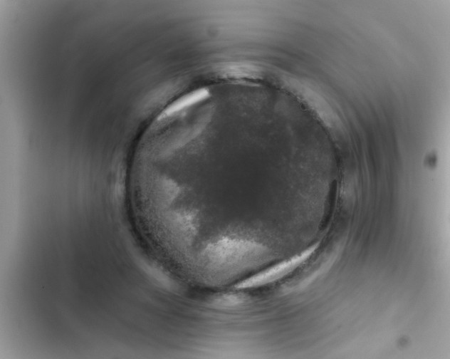 X0000102400402200808151948