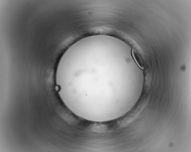 X0000102400403200808151947